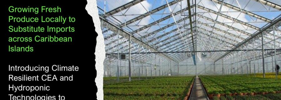 Cover image of Island Growers Caribbean, Agritech venture on VC4A